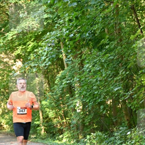 06.10.2024 - Bramfelder Halbmarathon 2024 Dr. Thomas Lammeyer http://msf.ph/oto/7334407 06.10.2024 09:50:22 Laufen 347 meine-sportfotos.de