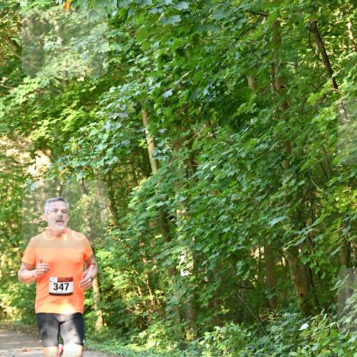 06.10.2024 - Bramfelder Halbmarathon 2024 Dr. Thomas Lammeyer http://msf.ph/oto/7334408 06.10.2024 09:50:22 Laufen 347 meine-sportfotos.de