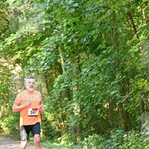 06.10.2024 - Bramfelder Halbmarathon 2024 Dr. Thomas Lammeyer http://msf.ph/oto/7334409 06.10.2024 09:50:22 Laufen 347 meine-sportfotos.de