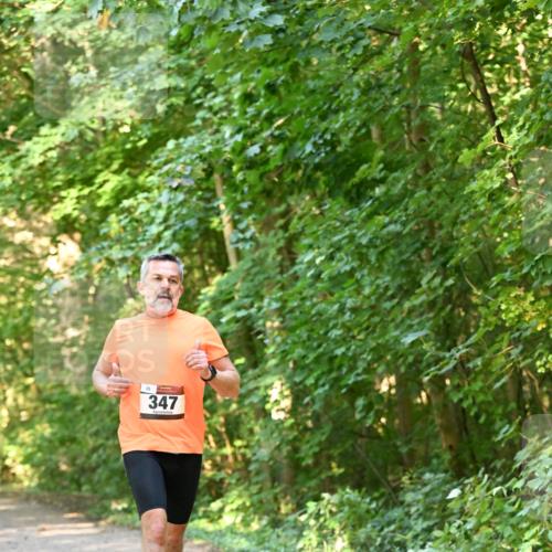 06.10.2024 - Bramfelder Halbmarathon 2024 Dr. Thomas Lammeyer http://msf.ph/oto/7334410 06.10.2024 09:50:22 Laufen 347 meine-sportfotos.de