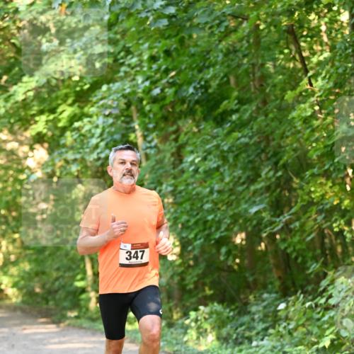 06.10.2024 - Bramfelder Halbmarathon 2024 Dr. Thomas Lammeyer http://msf.ph/oto/7334412 06.10.2024 09:50:23 Laufen 35, 347 meine-sportfotos.de