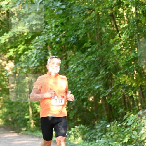 06.10.2024 - Bramfelder Halbmarathon 2024 Dr. Thomas Lammeyer http://msf.ph/oto/7334413 06.10.2024 09:50:23 Laufen 347 meine-sportfotos.de