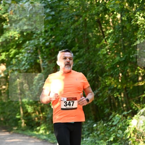06.10.2024 - Bramfelder Halbmarathon 2024 Dr. Thomas Lammeyer http://msf.ph/oto/7334416 06.10.2024 09:50:23 Laufen 35, 347 meine-sportfotos.de
