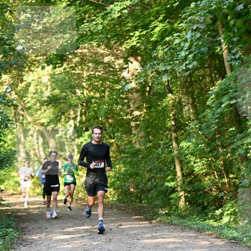 06.10.2024 - Bramfelder Halbmarathon 2024 Dr. Thomas Lammeyer http://msf.ph/oto/7334422 06.10.2024 09:50:27 Laufen 457 meine-sportfotos.de