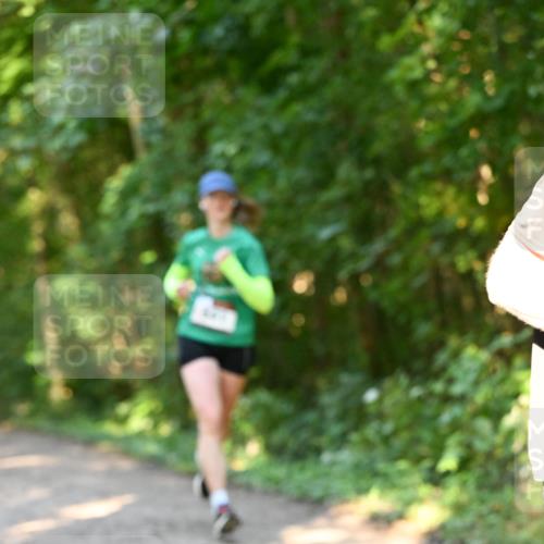 06.10.2024 - Bramfelder Halbmarathon 2024 Dr. Thomas Lammeyer http://msf.ph/oto/7334458 06.10.2024 09:50:34 Laufen  meine-sportfotos.de