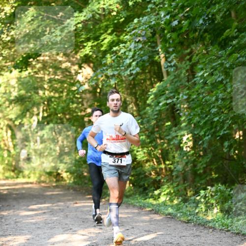 06.10.2024 - Bramfelder Halbmarathon 2024 Dr. Thomas Lammeyer http://msf.ph/oto/7334463 06.10.2024 09:50:35 Laufen 371 meine-sportfotos.de