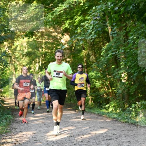 06.10.2024 - Bramfelder Halbmarathon 2024 Dr. Thomas Lammeyer http://msf.ph/oto/7334501 06.10.2024 09:50:48 Laufen 134, 88, 21, 12 meine-sportfotos.de