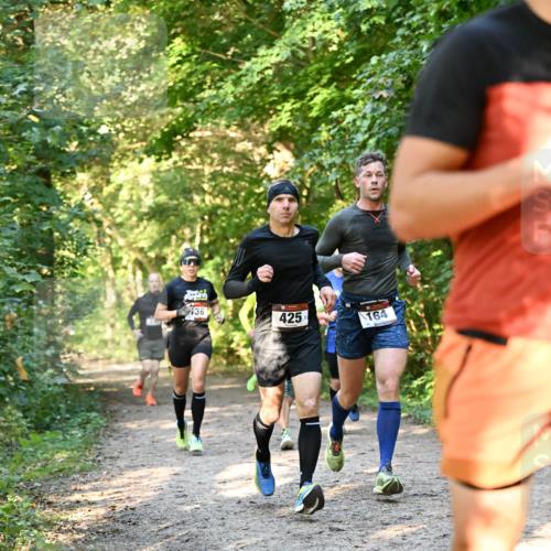 06.10.2024 - Bramfelder Halbmarathon 2024 Dr. Thomas Lammeyer http://msf.ph/oto/7334519 06.10.2024 09:50:52 Laufen 38, 425, 164 meine-sportfotos.de
