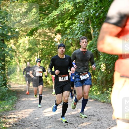 06.10.2024 - Bramfelder Halbmarathon 2024 Dr. Thomas Lammeyer http://msf.ph/oto/7334520 06.10.2024 09:50:52 Laufen 138, 425, 164 meine-sportfotos.de