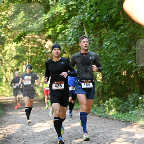 06.10.2024 - Bramfelder Halbmarathon 2024 Dr. Thomas Lammeyer http://msf.ph/oto/7334522 06.10.2024 09:50:52 Laufen 138, 425, 354, 164 meine-sportfotos.de