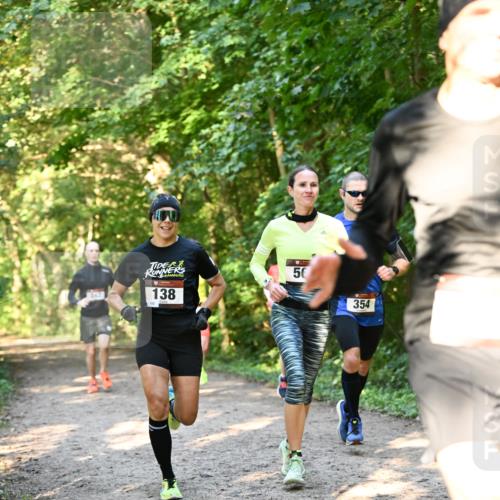 06.10.2024 - Bramfelder Halbmarathon 2024 Dr. Thomas Lammeyer http://msf.ph/oto/7334530 06.10.2024 09:50:54 Laufen  meine-sportfotos.de