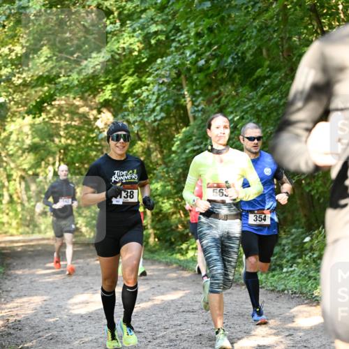 06.10.2024 - Bramfelder Halbmarathon 2024 Dr. Thomas Lammeyer http://msf.ph/oto/7334531 06.10.2024 09:50:54 Laufen 138, 102, 563, 354 meine-sportfotos.de