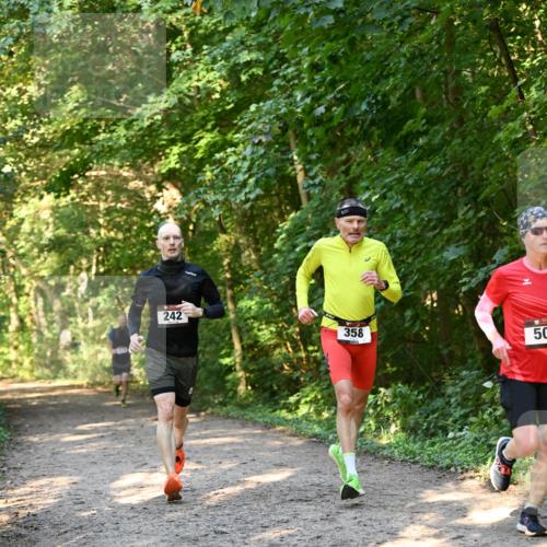 06.10.2024 - Bramfelder Halbmarathon 2024 Dr. Thomas Lammeyer http://msf.ph/oto/7334542 06.10.2024 09:50:56 Laufen  meine-sportfotos.de