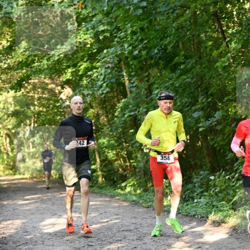 06.10.2024 - Bramfelder Halbmarathon 2024 Dr. Thomas Lammeyer http://msf.ph/oto/7334544 06.10.2024 09:50:56 Laufen 242, 358 meine-sportfotos.de