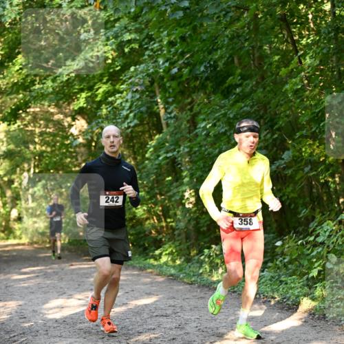 06.10.2024 - Bramfelder Halbmarathon 2024 Dr. Thomas Lammeyer http://msf.ph/oto/7334546 06.10.2024 09:50:56 Laufen 242, 358 meine-sportfotos.de