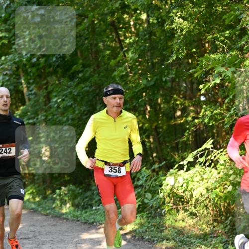 06.10.2024 - Bramfelder Halbmarathon 2024 Dr. Thomas Lammeyer http://msf.ph/oto/7334547 06.10.2024 09:50:56 Laufen 242, 358 meine-sportfotos.de