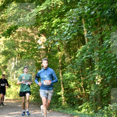 06.10.2024 - Bramfelder Halbmarathon 2024 Dr. Thomas Lammeyer http://msf.ph/oto/7334573 06.10.2024 09:51:33 Laufen 5312 meine-sportfotos.de