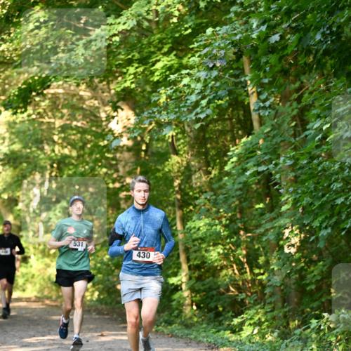 06.10.2024 - Bramfelder Halbmarathon 2024 Dr. Thomas Lammeyer http://msf.ph/oto/7334574 06.10.2024 09:51:33 Laufen  meine-sportfotos.de