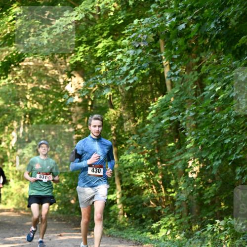 06.10.2024 - Bramfelder Halbmarathon 2024 Dr. Thomas Lammeyer http://msf.ph/oto/7334575 06.10.2024 09:51:33 Laufen 531, 430 meine-sportfotos.de