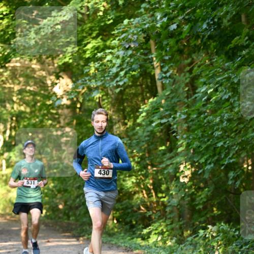 06.10.2024 - Bramfelder Halbmarathon 2024 Dr. Thomas Lammeyer http://msf.ph/oto/7334578 06.10.2024 09:51:34 Laufen 531, 430 meine-sportfotos.de