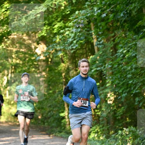 06.10.2024 - Bramfelder Halbmarathon 2024 Dr. Thomas Lammeyer http://msf.ph/oto/7334582 06.10.2024 09:51:34 Laufen  meine-sportfotos.de