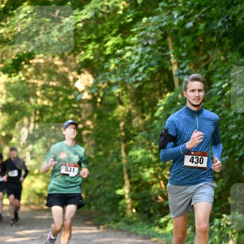 06.10.2024 - Bramfelder Halbmarathon 2024 Dr. Thomas Lammeyer http://msf.ph/oto/7334583 06.10.2024 09:51:35 Laufen 531, 430 meine-sportfotos.de