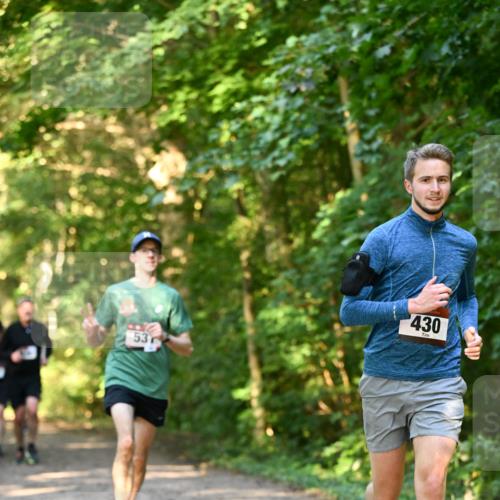 06.10.2024 - Bramfelder Halbmarathon 2024 Dr. Thomas Lammeyer http://msf.ph/oto/7334584 06.10.2024 09:51:35 Laufen 53, 430 meine-sportfotos.de