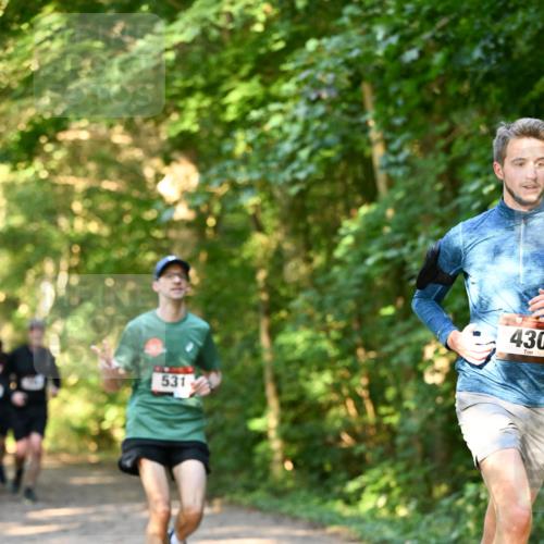 06.10.2024 - Bramfelder Halbmarathon 2024 Dr. Thomas Lammeyer http://msf.ph/oto/7334586 06.10.2024 09:51:35 Laufen 531, 430 meine-sportfotos.de