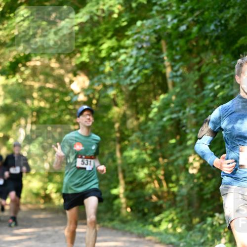 06.10.2024 - Bramfelder Halbmarathon 2024 Dr. Thomas Lammeyer http://msf.ph/oto/7334587 06.10.2024 09:51:35 Laufen 531 meine-sportfotos.de