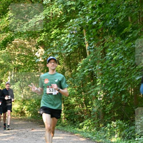 06.10.2024 - Bramfelder Halbmarathon 2024 Dr. Thomas Lammeyer http://msf.ph/oto/7334590 06.10.2024 09:51:36 Laufen 531 meine-sportfotos.de