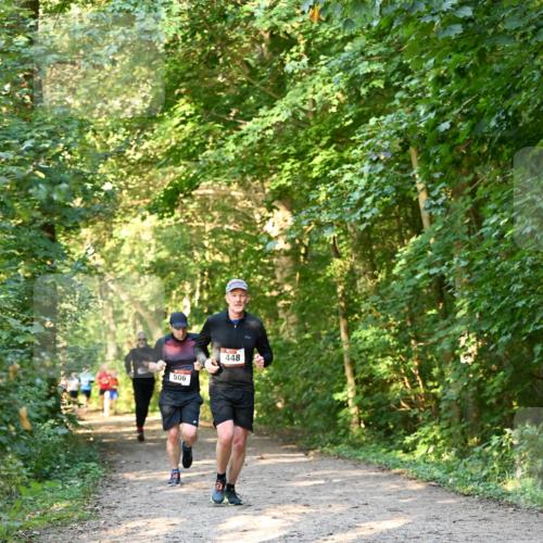 06.10.2024 - Bramfelder Halbmarathon 2024 Dr. Thomas Lammeyer http://msf.ph/oto/7334594 06.10.2024 09:51:38 Laufen  meine-sportfotos.de