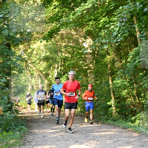 06.10.2024 - Bramfelder Halbmarathon 2024 Dr. Thomas Lammeyer http://msf.ph/oto/7334635 06.10.2024 09:51:51 Laufen 499, 999, 14 meine-sportfotos.de