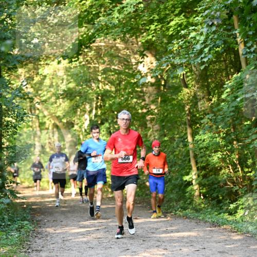 06.10.2024 - Bramfelder Halbmarathon 2024 Dr. Thomas Lammeyer http://msf.ph/oto/7334638 06.10.2024 09:51:51 Laufen 999, 662 meine-sportfotos.de
