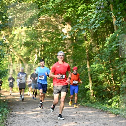 06.10.2024 - Bramfelder Halbmarathon 2024 Dr. Thomas Lammeyer http://msf.ph/oto/7334640 06.10.2024 09:51:52 Laufen 499, 14 meine-sportfotos.de