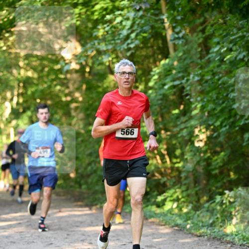 06.10.2024 - Bramfelder Halbmarathon 2024 Dr. Thomas Lammeyer http://msf.ph/oto/7334650 06.10.2024 09:51:53 Laufen 566 meine-sportfotos.de