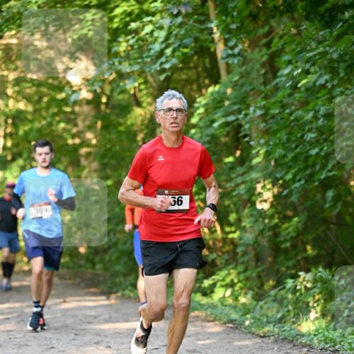 06.10.2024 - Bramfelder Halbmarathon 2024 Dr. Thomas Lammeyer http://msf.ph/oto/7334651 06.10.2024 09:51:53 Laufen 499, 36 meine-sportfotos.de