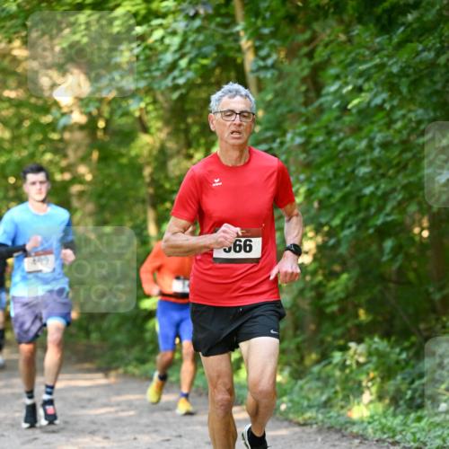 06.10.2024 - Bramfelder Halbmarathon 2024 Dr. Thomas Lammeyer http://msf.ph/oto/7334654 06.10.2024 09:51:54 Laufen 66, 499 meine-sportfotos.de