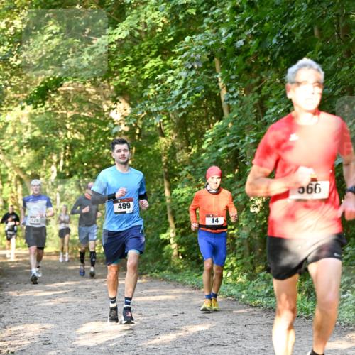 06.10.2024 - Bramfelder Halbmarathon 2024 Dr. Thomas Lammeyer http://msf.ph/oto/7334656 06.10.2024 09:51:54 Laufen 499, 14, 566 meine-sportfotos.de