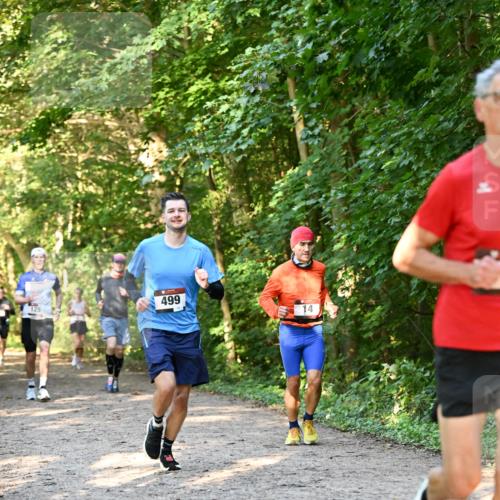 06.10.2024 - Bramfelder Halbmarathon 2024 Dr. Thomas Lammeyer http://msf.ph/oto/7334658 06.10.2024 09:51:55 Laufen 125, 499, 14 meine-sportfotos.de