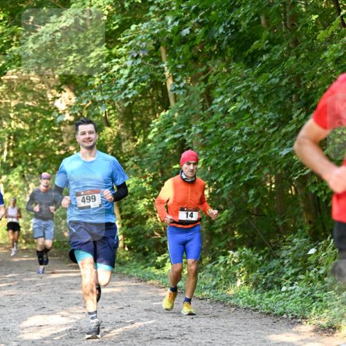 06.10.2024 - Bramfelder Halbmarathon 2024 Dr. Thomas Lammeyer http://msf.ph/oto/7334660 06.10.2024 09:51:55 Laufen 499, 14 meine-sportfotos.de