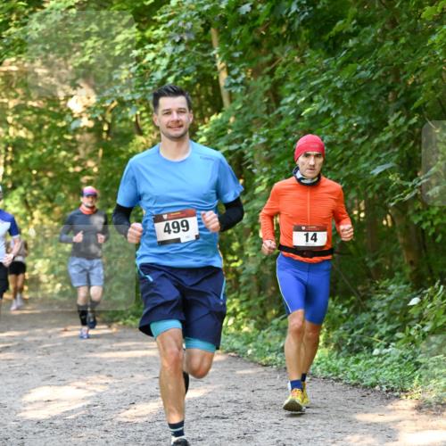 06.10.2024 - Bramfelder Halbmarathon 2024 Dr. Thomas Lammeyer http://msf.ph/oto/7334664 06.10.2024 09:51:56 Laufen 499, 14 meine-sportfotos.de
