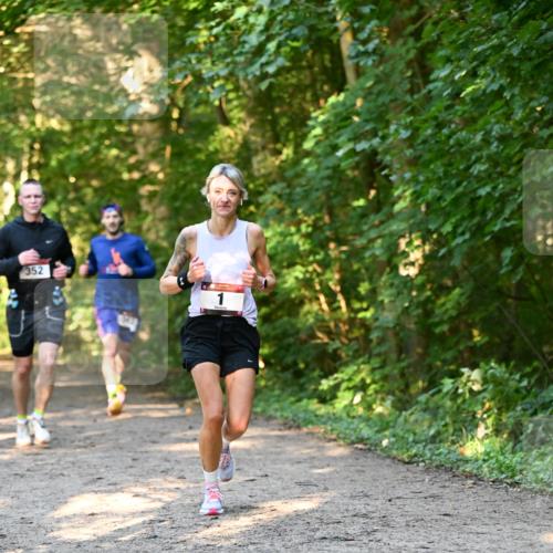 06.10.2024 - Bramfelder Halbmarathon 2024 Dr. Thomas Lammeyer http://msf.ph/oto/7334696 06.10.2024 09:52:02 Laufen 352 meine-sportfotos.de