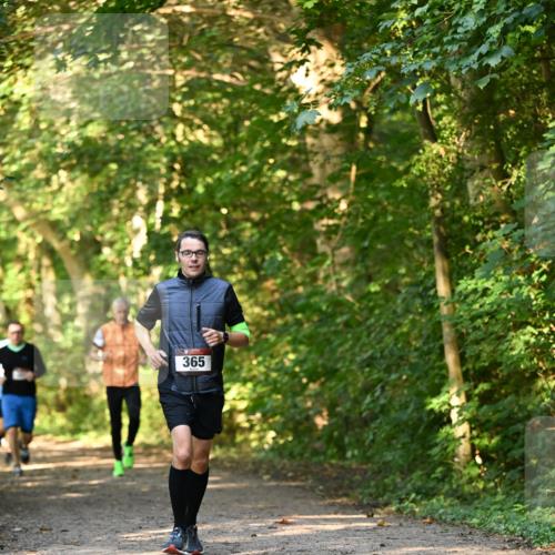 06.10.2024 - Bramfelder Halbmarathon 2024 Dr. Thomas Lammeyer http://msf.ph/oto/7334780 06.10.2024 09:52:24 Laufen 365 meine-sportfotos.de