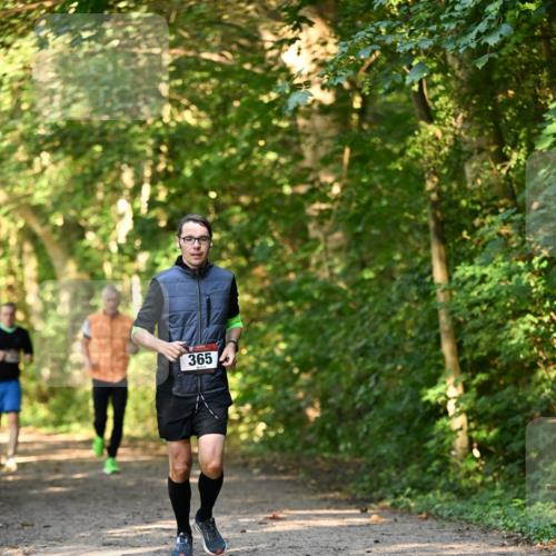 06.10.2024 - Bramfelder Halbmarathon 2024 Dr. Thomas Lammeyer http://msf.ph/oto/7334782 06.10.2024 09:52:24 Laufen 365 meine-sportfotos.de