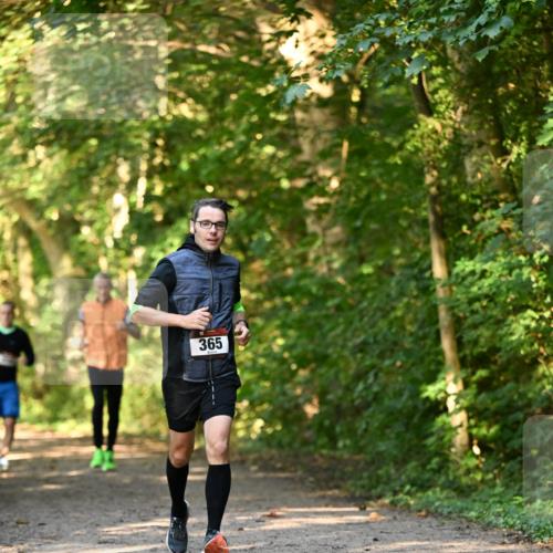 06.10.2024 - Bramfelder Halbmarathon 2024 Dr. Thomas Lammeyer http://msf.ph/oto/7334783 06.10.2024 09:52:24 Laufen 365 meine-sportfotos.de
