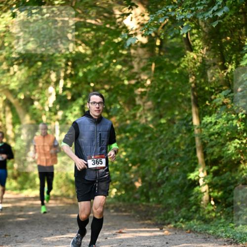 06.10.2024 - Bramfelder Halbmarathon 2024 Dr. Thomas Lammeyer http://msf.ph/oto/7334784 06.10.2024 09:52:25 Laufen 365 meine-sportfotos.de