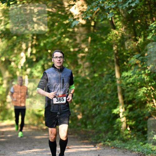 06.10.2024 - Bramfelder Halbmarathon 2024 Dr. Thomas Lammeyer http://msf.ph/oto/7334787 06.10.2024 09:52:25 Laufen  meine-sportfotos.de