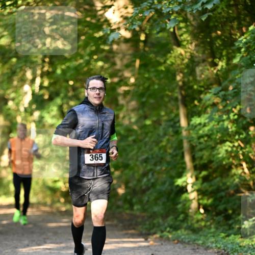 06.10.2024 - Bramfelder Halbmarathon 2024 Dr. Thomas Lammeyer http://msf.ph/oto/7334788 06.10.2024 09:52:25 Laufen 365 meine-sportfotos.de