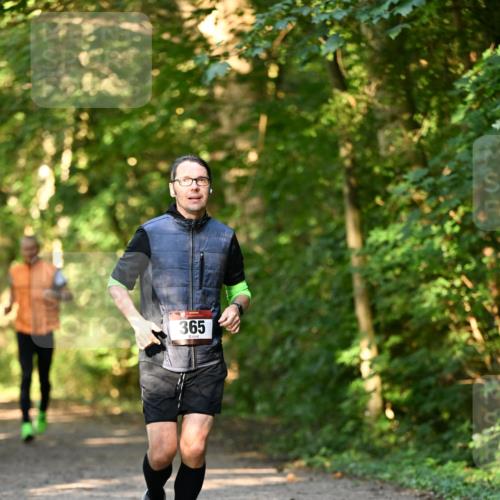 06.10.2024 - Bramfelder Halbmarathon 2024 Dr. Thomas Lammeyer http://msf.ph/oto/7334789 06.10.2024 09:52:25 Laufen 365 meine-sportfotos.de