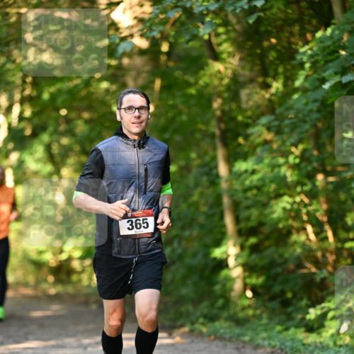 06.10.2024 - Bramfelder Halbmarathon 2024 Dr. Thomas Lammeyer http://msf.ph/oto/7334792 06.10.2024 09:52:26 Laufen 365 meine-sportfotos.de